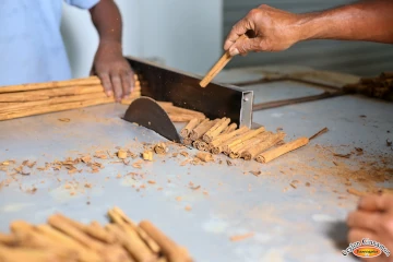 Cinnamon Cutting